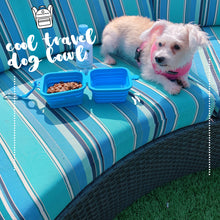 Silicone Collapsible Large Dog Bowl Set 3in1 BPA Free (Blue)